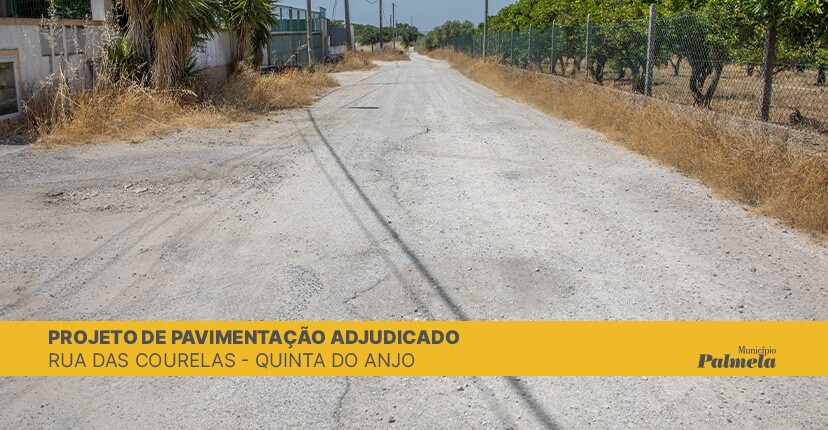 Rua das Courelas em Quinta do Anjo: adjudicação de projeto para pavimentação